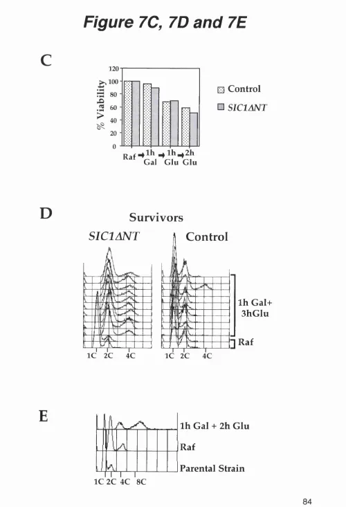 Figure 7C, 7D and 7E