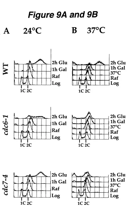 Figure 9A and 9B