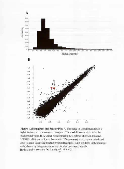 Figure 1.2 Histogram and Scatter Plot A. The range of signal intensities in a 