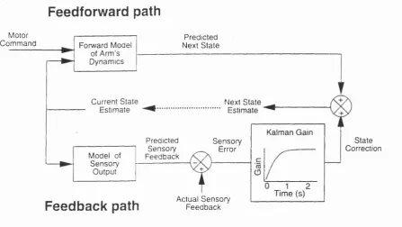 Fig. 1.2.1 The Wolpert model of sensorimotor integration.
