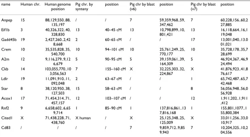 Table 1: Location of 12 most significant genes using human genome sequence, porcine syntenic regions, and draft porcine genome assembly (version 6 and 7, respectively)