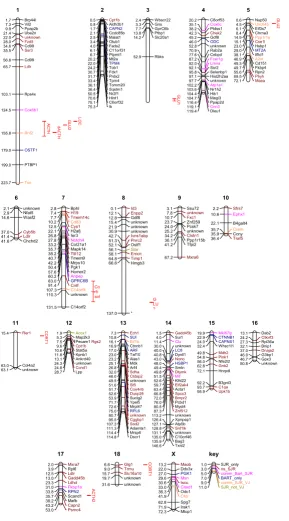 Figure 2Inferred locations of differentially expressed genes and ACTH response related QTL on the porcine genomeInferred locations of differentially expressed genes and ACTH response related QTL on the porcine genome