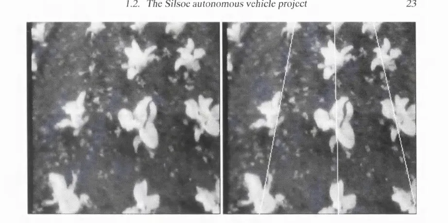 Figure 1.3: The crop row structure. Left: a view of the field from the vehicle’s camera