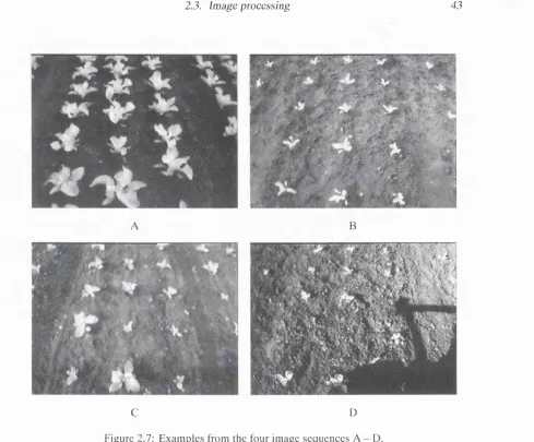 Figure 2.7: Examples from the four image sequences A -  D.