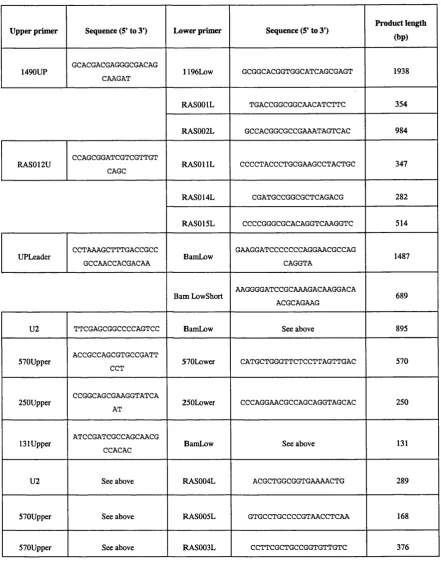 Table 1 Primers used to generate PCR products for gel-shift experiments