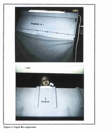 Figure 3. Fagan Box apparatus.
