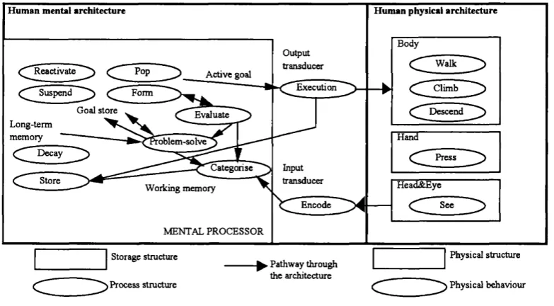 Figure 7. Human Architecture.