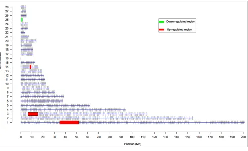 Figure 2Differentially expressed chromosomal regions for contrast MM8-PM8Differentially expressed chromosomal regions for contrast MM8-PM8