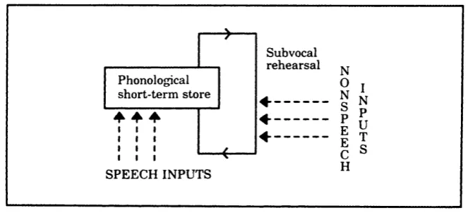 Figure 1.1: Model of the phonological loop, taken from Gathercole and 
