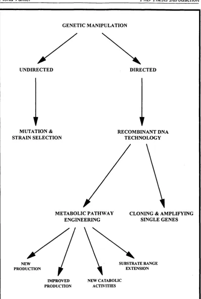FIGURE 1.1: