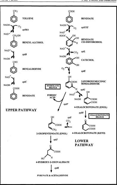 FIGURE 1.6: