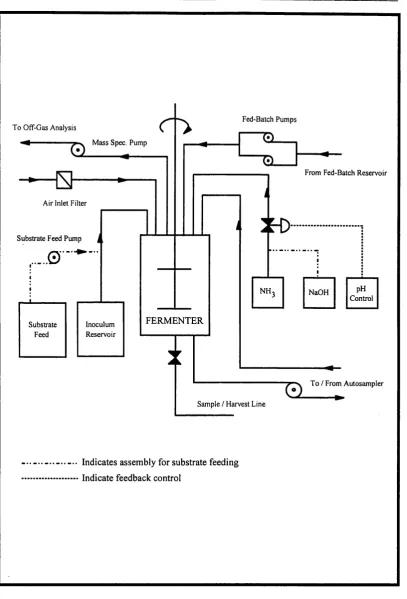 FIGURE 4.2: