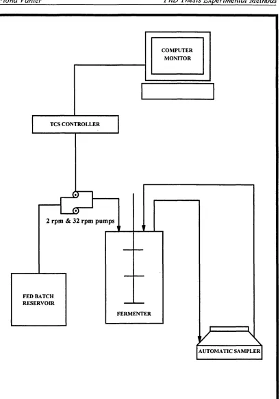 FIGURE 4.3: