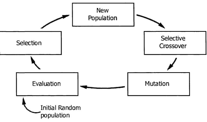 Figure 6.4: GA Cycle of selective crossover that does not change the dominance values.