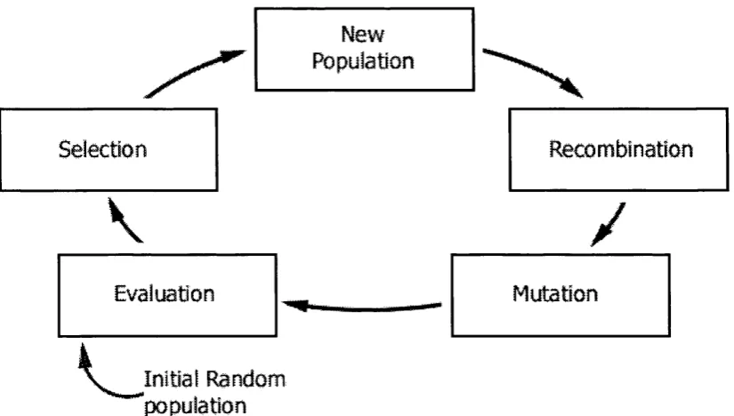 Figure 2.1: Generational cycle of a conventional genetic algorithm.