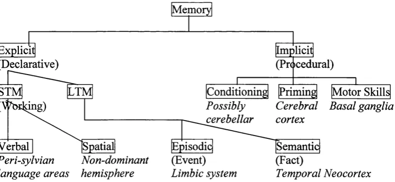 Figure 1.1: Major divisions of memory and their neural substrates (adaptedfrom Hodges, 7PP4)