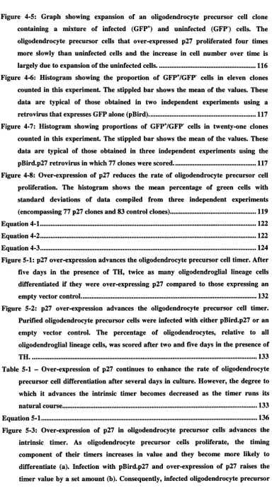 Figure 4-5: Graph showing expansion of an oligodendrocyte precursor cell clone 