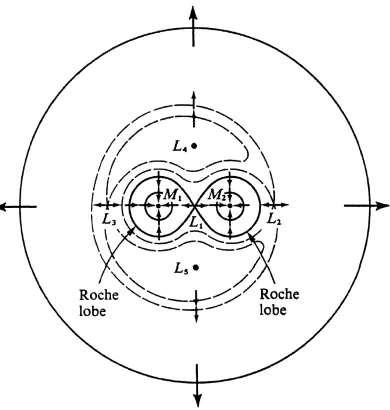 Figure 1.1: Roche equipotentials for a binary with a mass ratio of 2/3. The arrows 