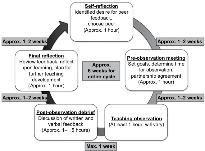 Figure 1 Peer and self-assessment of teaching process cycle.Abbreviations: Approx., approximately; Max., maximum.