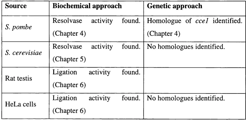 Table 3.4. Holliday junction-processing activities identified.
