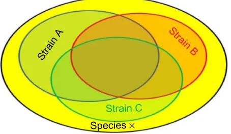 Figure 1 Schematic representation of common properties of different strains within a given species.Notes: A similar analogy can be used for common properties between strains from 