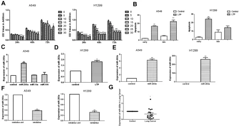 Figure 2 LTP suppresses lung cancer cells proliferation and induces the expression of miR-203a