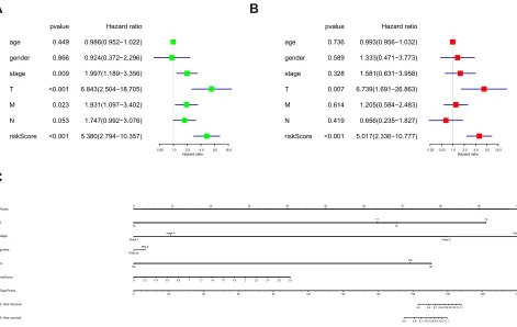 Figure 5 Coxaffecting the overall survival. (’s proportional hazard model of correlative factors in colon cancer patients