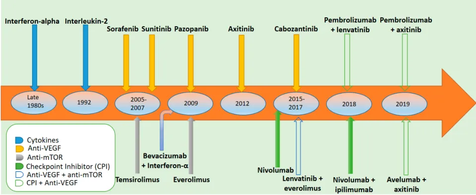 Figure 1 Systemic therapies for advanced or metastatic renal cell carcinoma according to year of approval.