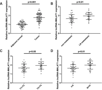 Figure 1 LncRNA MALAT1 is overexpressed in CC tissues. (T1 + T2 and T3 + T4 (N = 62),A) Relative expression of MALAT1 in CC tissues and adjacent normal tissues (N = 62), P < 0.001