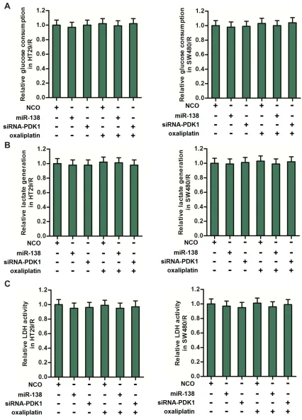 Figure 5 MiR-138 and siRNA-PDK1 failed to change the glycolysis level of HT29/R and SW480/R
