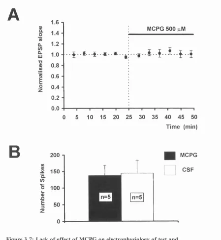 Figure 3.7: Lack of effect of MCPG on electrophysiology of test and 