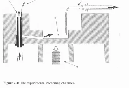 Figure 2.4: The experimental recording chamber.