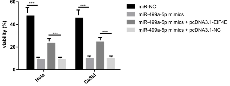 Figure 7 Overexpression of miR-499a-5p enhanced the radiosensitivity of CC cells via targeting eIF4E