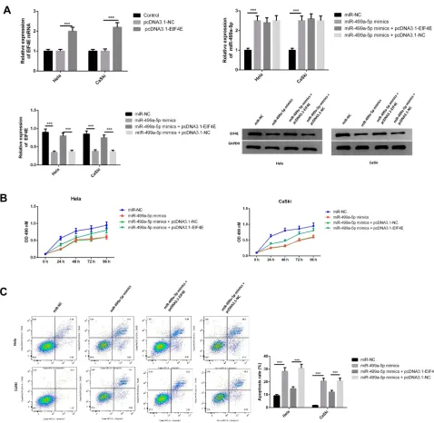 Figure 5 eIF4E overexpression reversed the effect of miR-499a-5p on CC cell proliferation, apoptosis, invasion, and migration