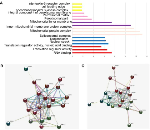 Figure 2 Network and expression levels of the red and cyan modules: (x-axis depictedA, B) in which only edges with weight (w) above a threshold of 0.4 are displayed