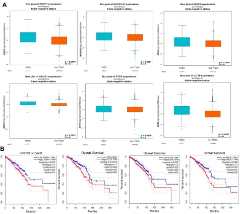 Figure 3 Expression and prognostic value of hub genes in TNBC and not-TNBC: (A) the expression of ZGRF1, ETFA, RPL9, MFSD14C, ABCE1 and CCT8 between TNBC(n=317) and not TNBC patient samples (n=4119) in GEPIA database