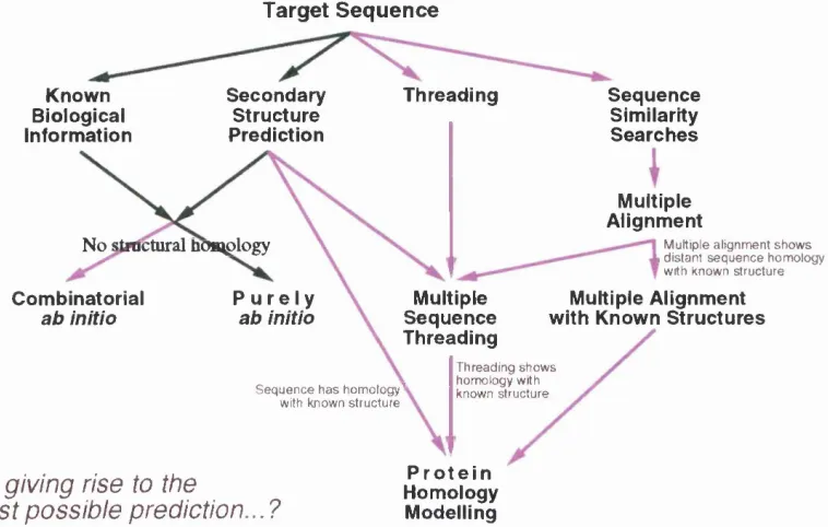Figure 1.1; Flow diagram showing methods for CASP2 predictions.