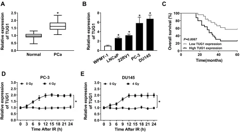 Figure 1 Expression of TUG1 and its effect on prognosis and radiosensitivity in PCa. (analysis