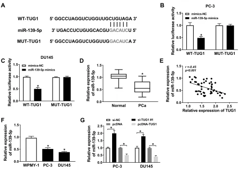 Figure 3 The expression of miR-139-5p was downregulated and negatively correlated with TUG1 in PCa samples and cell lines