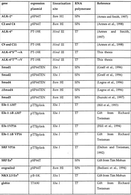 Table 2.1. Constructs used as templates for in vitro transcription