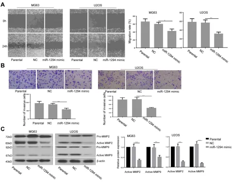 Figure 3 miR-1294 upregulation impaired migration and invasiveness of osteosarcoma cells