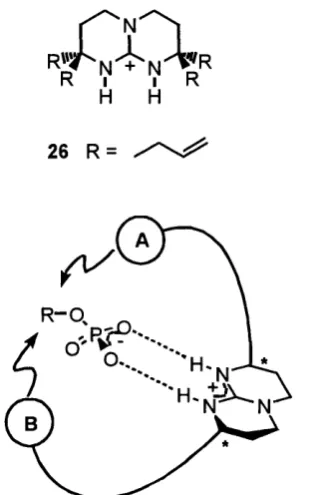Figure 1.3 -  The host-guest binding concept of chiral bicyclic guanidinium groups.