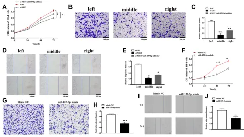 Figure 3 The role of XIST in cellular function.Notes: (A) Cell proliferation in HS-1 cells after transfection with either XISTalone or together with miR-139-5p inhibitor