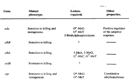 Table 1.2. The functions of the major components of the E. coli adaptive response 