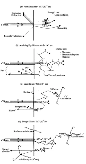 Figure 1.6 The interaction of a positron beam (with an energy <100 keV) with the near surface region of a