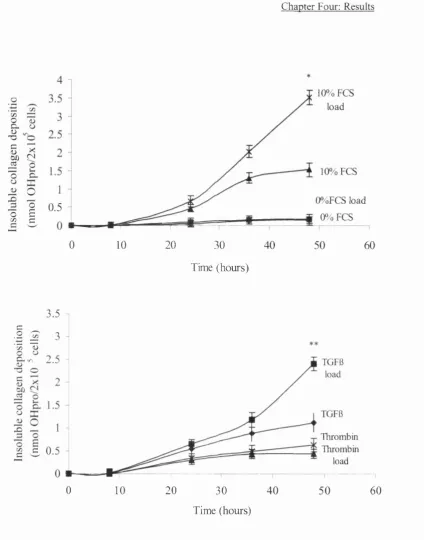 Fig. 4.1: Mechanical load in the presence of 10% FCS and TGFfi enhances 