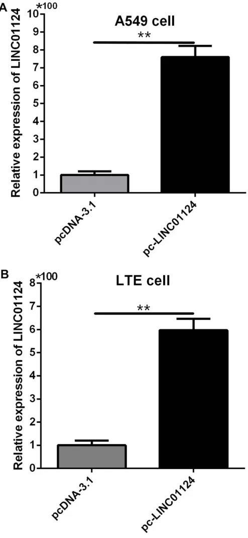 Table 1 Sequences of Primers for qRT-PCR