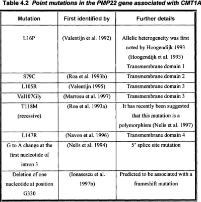 Table 4.2 Point mutations in the PMP22 gene associated with CMTIA