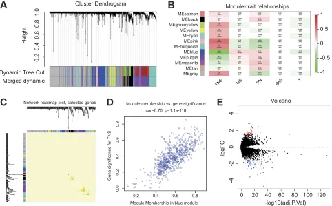 Figure 1 WGCNA of GSE76275 and DEGs identiﬁed in GSE76275 (A) 5000 genes were assigned to one of 12 modules, including Module gray, with a cutoff of powers = 13(scale free R2 = 0.90)