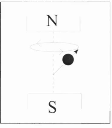 Figure 2.2: Precession of protons.